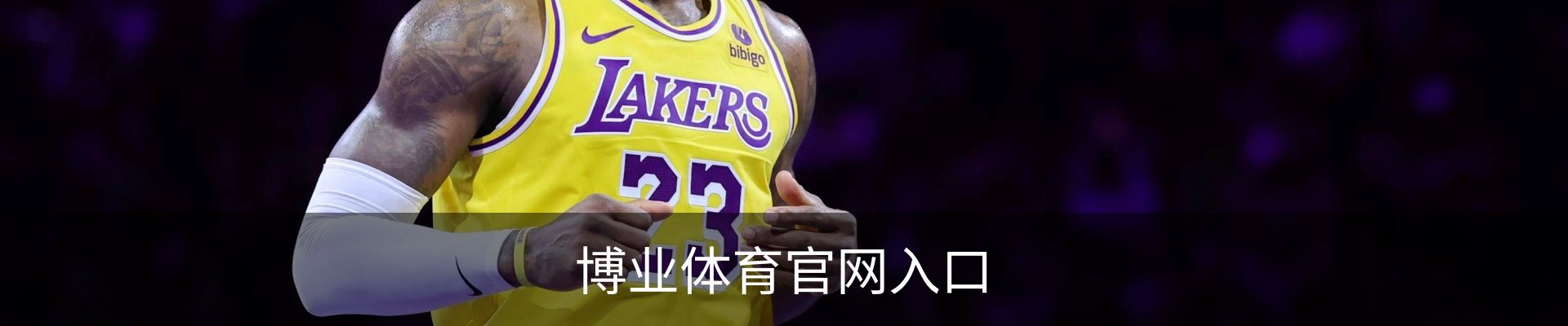 博业体育官网入口